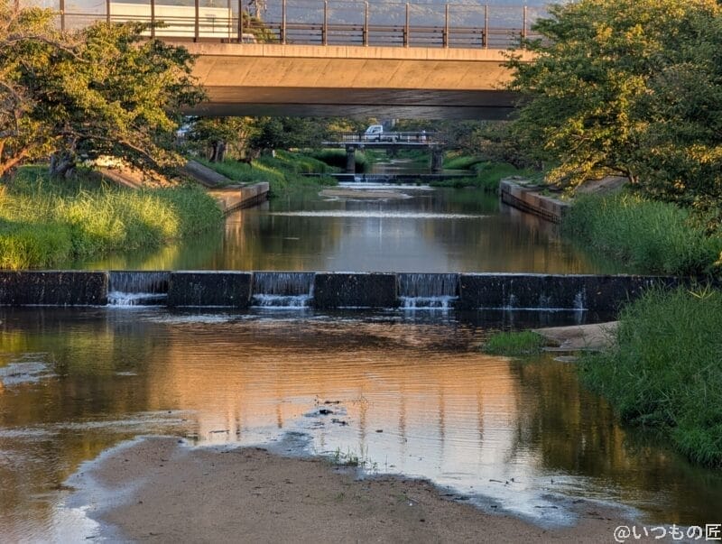 google pixel 9 proで撮影した風景写真 | モバイル比較レビュー.jp nubia Z70 Ultra カメラ Google Pixel 9 Proで撮影した風景写真