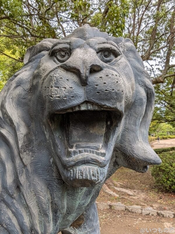 Google Pixel 9a カメラ Google Pixel 9のインカメラで撮影した自撮り写真