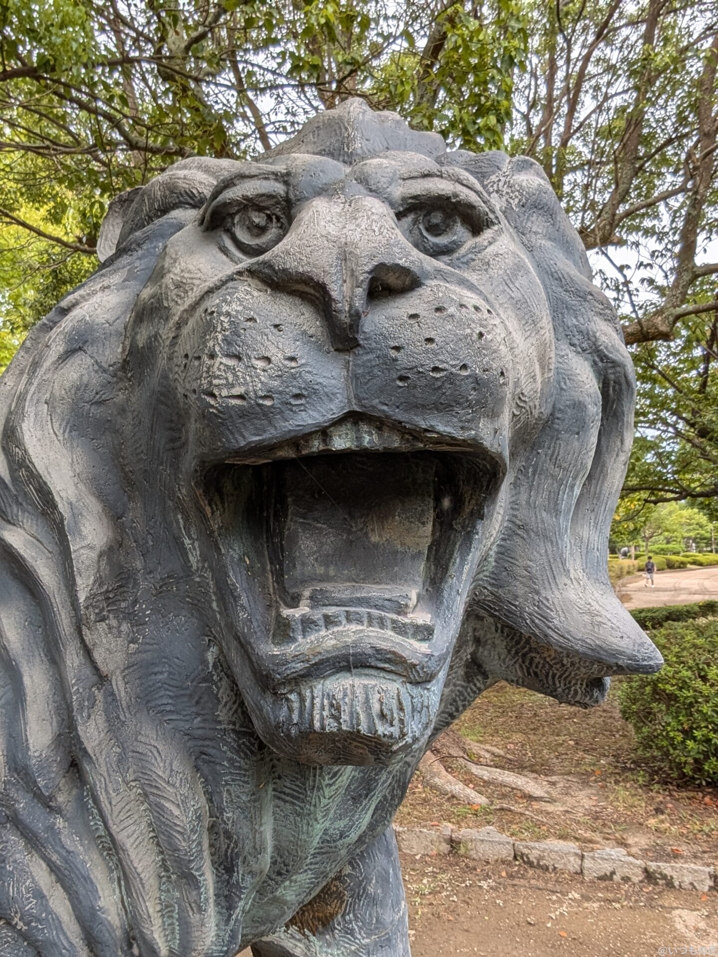 Google Pixel 9a カメラ
Google Pixel 9のインカメラで撮影した自撮り写真