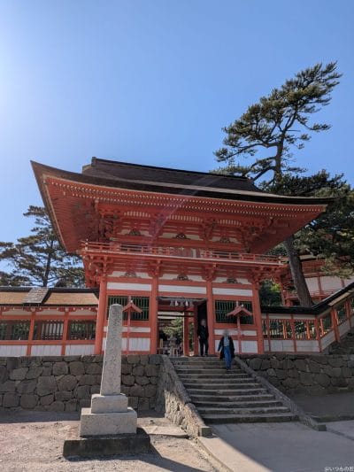 google pixel 9aで撮影した風景写真 | モバイル比較レビュー.jp Google Pixel 9a カメラ Google Pixel 9aで撮影した風景写真