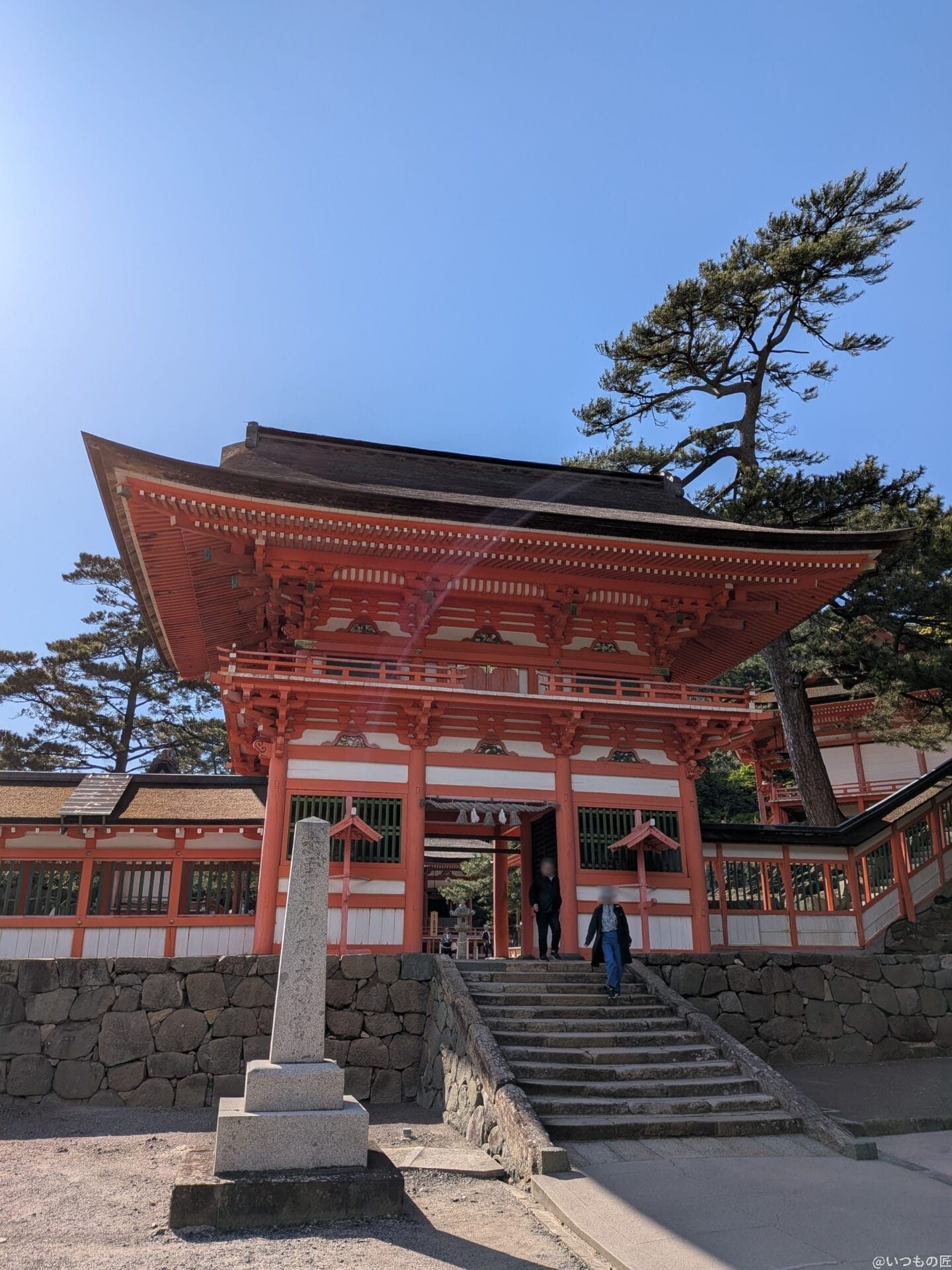 Google Pixel 9a カメラ
Google Pixel 9aで撮影した風景写真