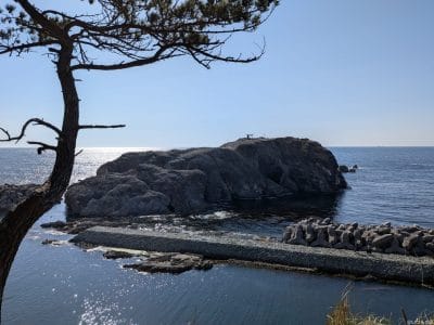 google pixel 9aで撮影した風景写真 | モバイル比較レビュー.jp Google Pixel 9a カメラ Google Pixel 9aで撮影した風景写真