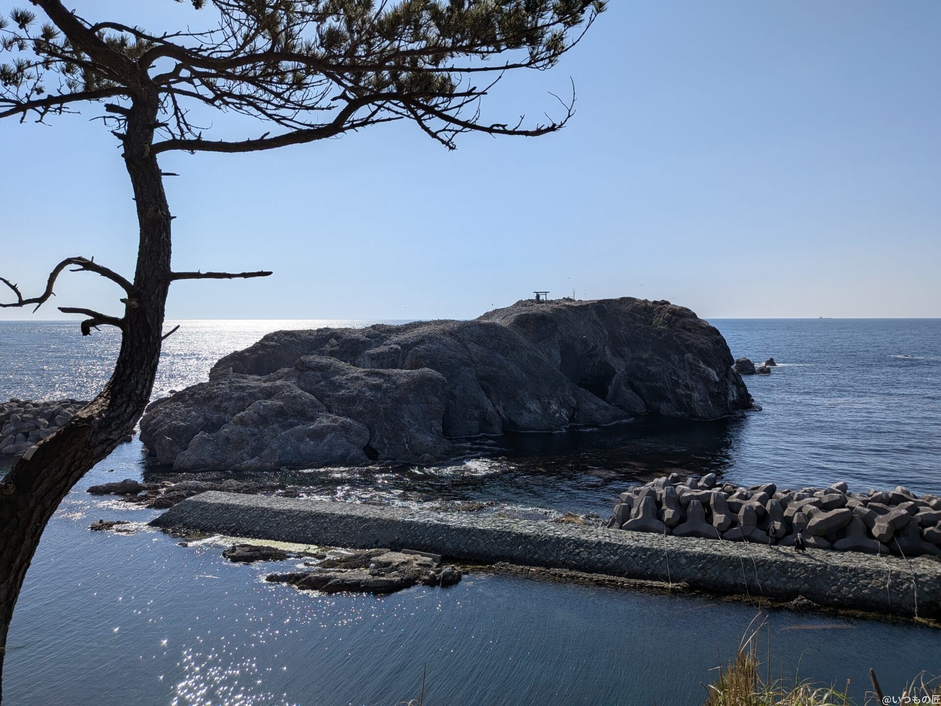 Google Pixel 9a カメラ
Google Pixel 9aで撮影した風景写真