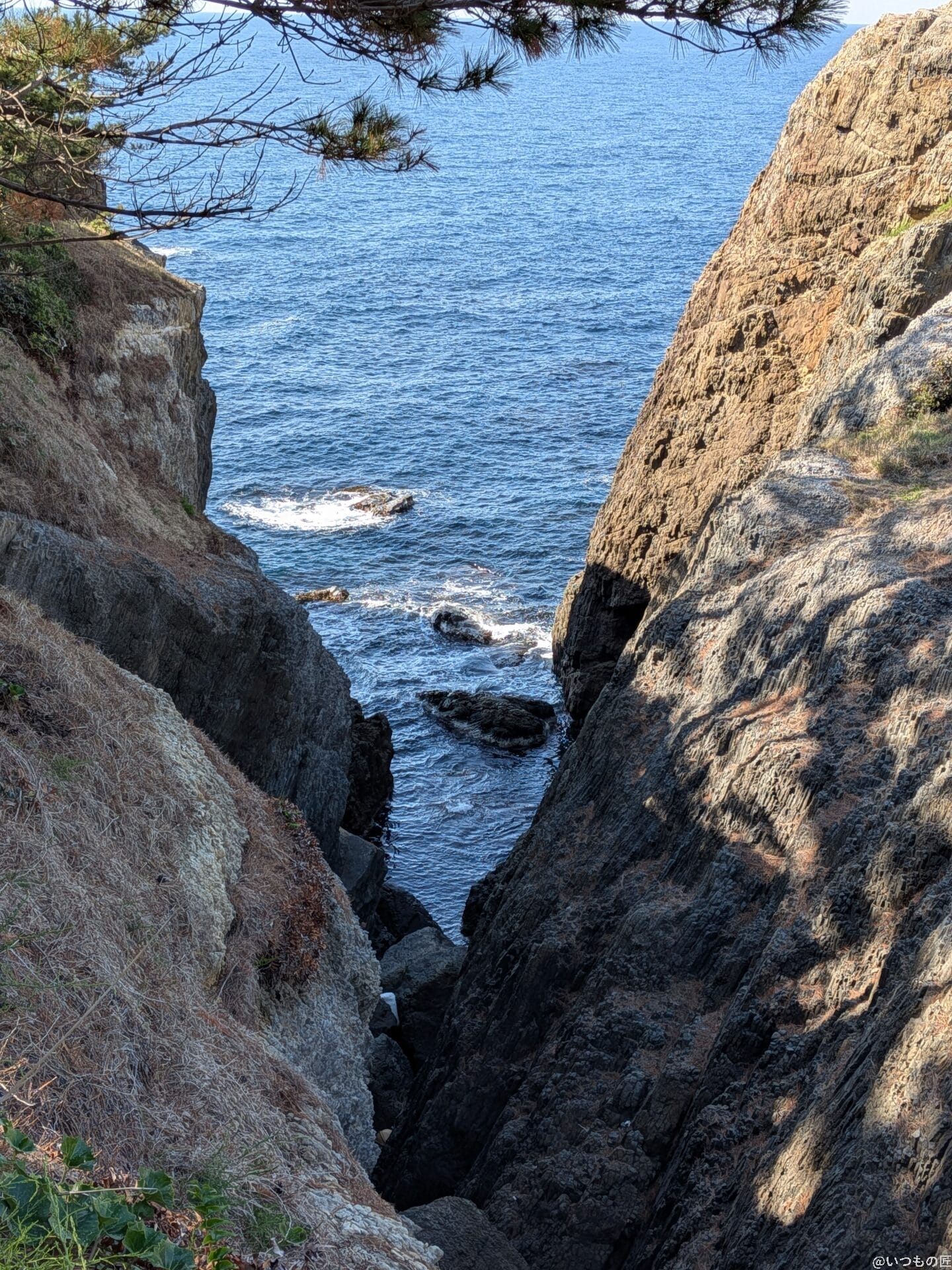 Google Pixel 9a カメラ
Google Pixel 9aで撮影した風景写真