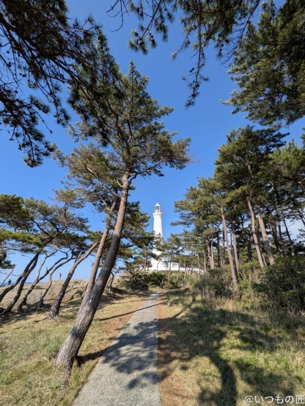 Google Pixel 9a カメラ Google Pixel 9aでズーム撮影した風景写真