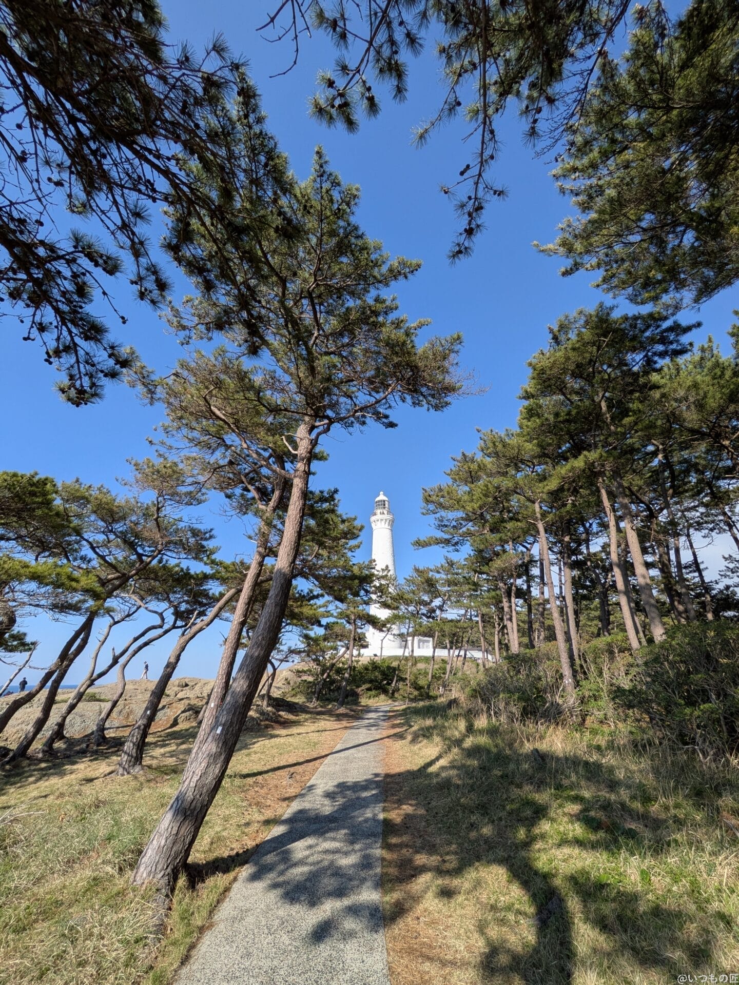 Google Pixel 9a カメラ
Google Pixel 9aでズーム撮影した風景写真