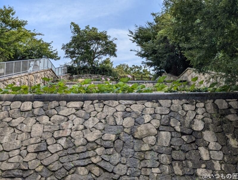 Google Pixel 9a カメラ Google Pixel 9でズーム撮影した風景写真