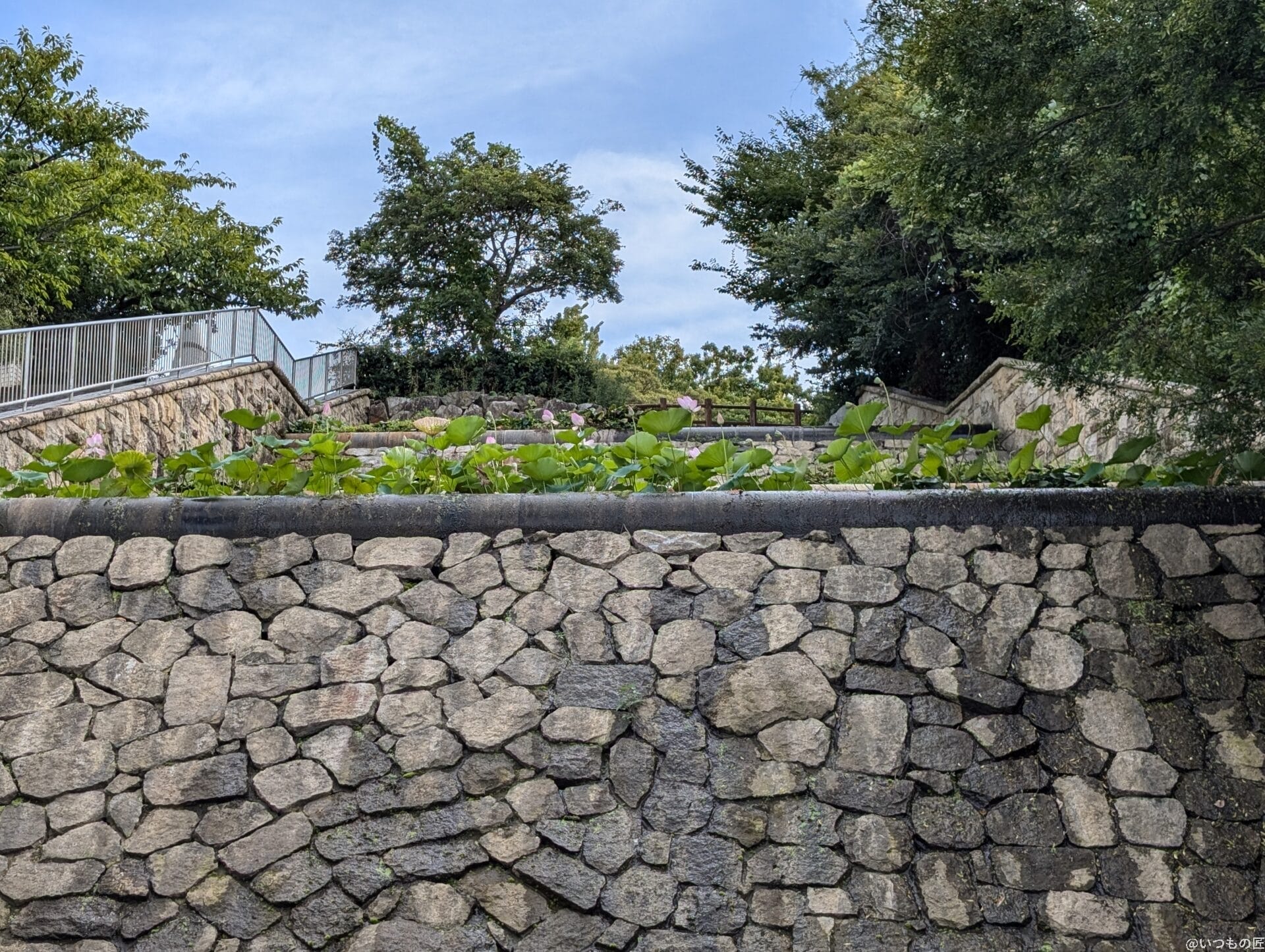 Google Pixel 9a カメラ
Google Pixel 9でズーム撮影した風景写真