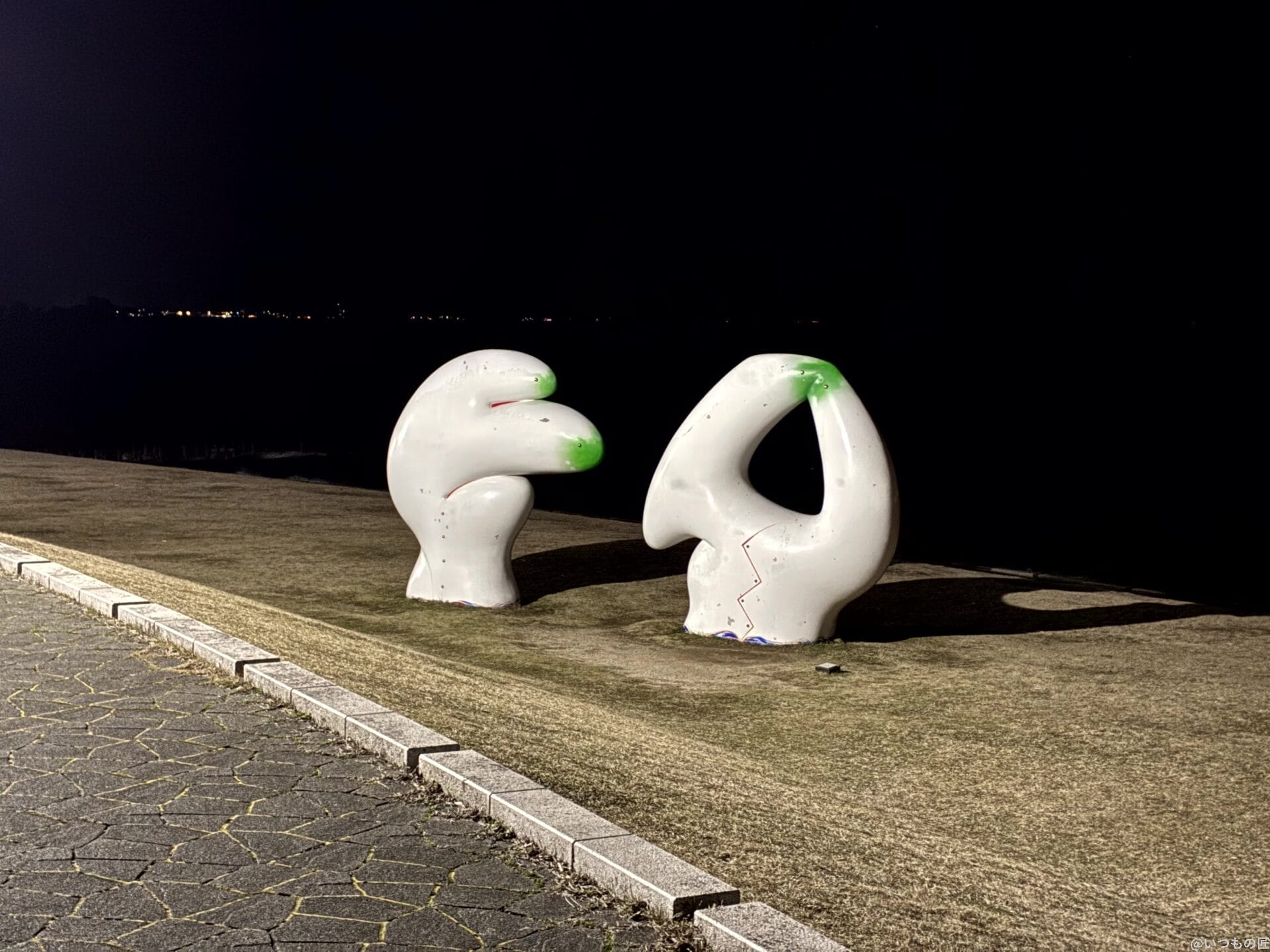 Google Pixel 9a カメラ
iPhone16eでズーム撮影した夜間写真