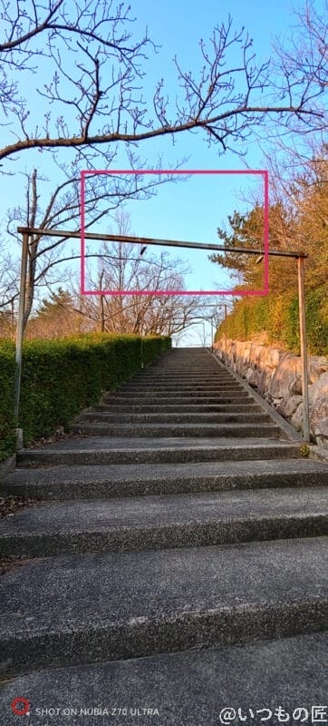 nubia z70 ultraの風景写真 | モバイル比較レビュー.jp nubia Z70 Ultra カメラ nubia Z70 Ultraの風景写真