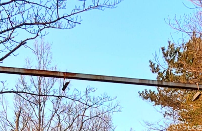 nubia Z70 Ultra カメラ nubia Z70 Ultraの風景写真の切り抜き後