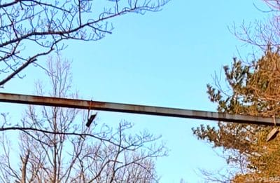 nubia z70 ultraの風景写真の切り抜き後 | モバイル比較レビュー.jp nubia Z70 Ultra カメラ nubia Z70 Ultraの風景写真の切り抜き後