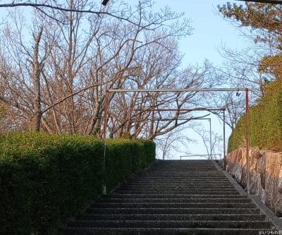 切り抜き・拡大した風景写真 | モバイル比較レビュー.jp Galaxy A25 5G カメラ 切り抜き・拡大した風景写真