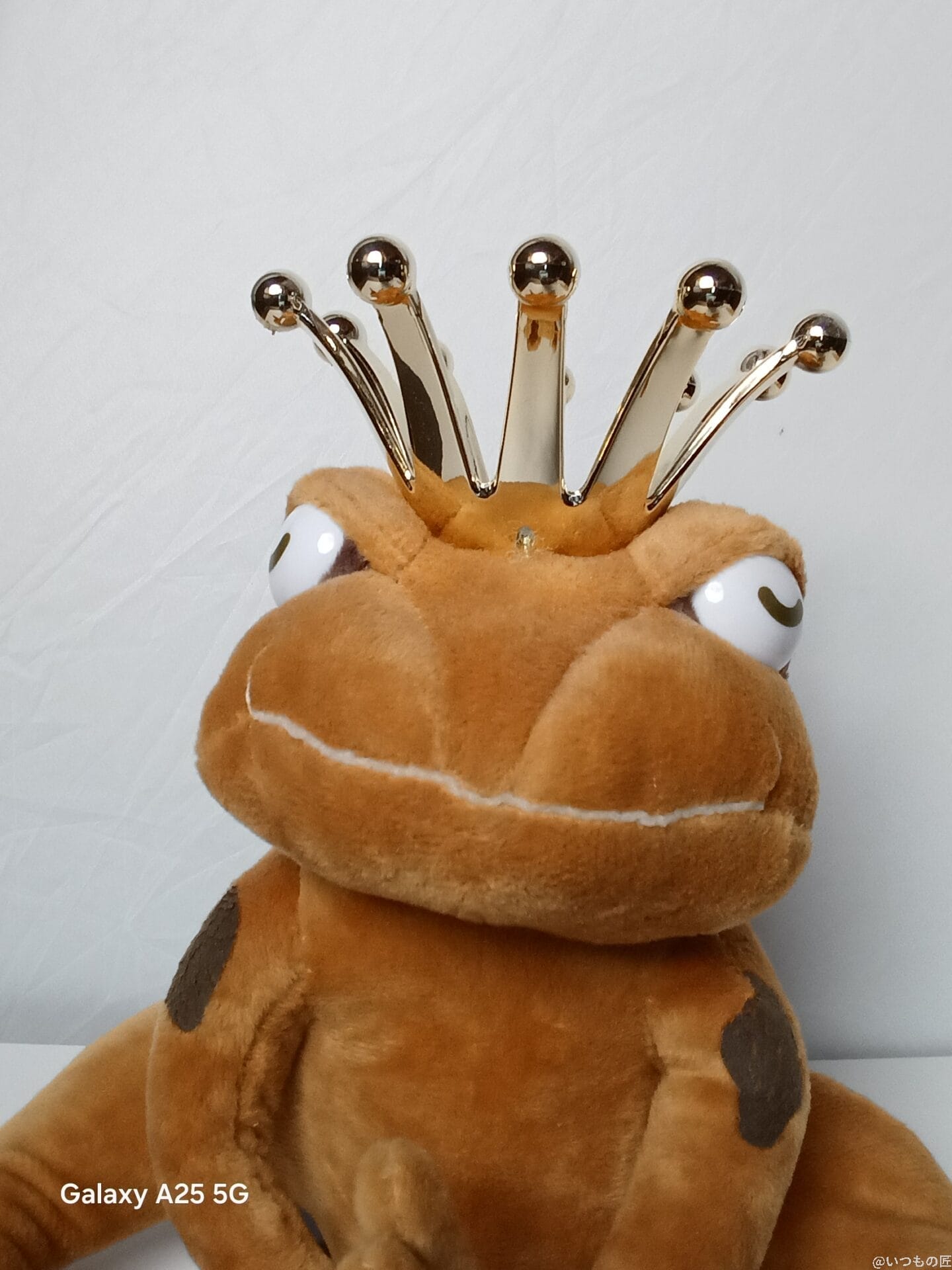 屋内でぬいぐるみを自撮りした写真 | モバイル比較レビュー.jp Galaxy A25 5G カメラ 屋内でぬいぐるみを自撮りした写真