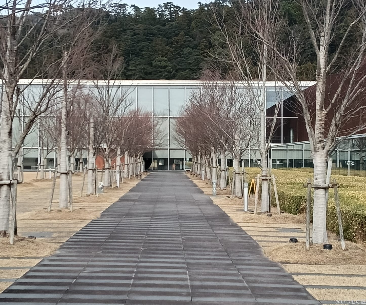 oppo a3 5gの風景写真を切り抜き・拡大した写真 | モバイル比較レビュー.jp Galaxy A25 5G カメラ OPPO A3 5Gの風景写真を切り抜き・拡大した写真