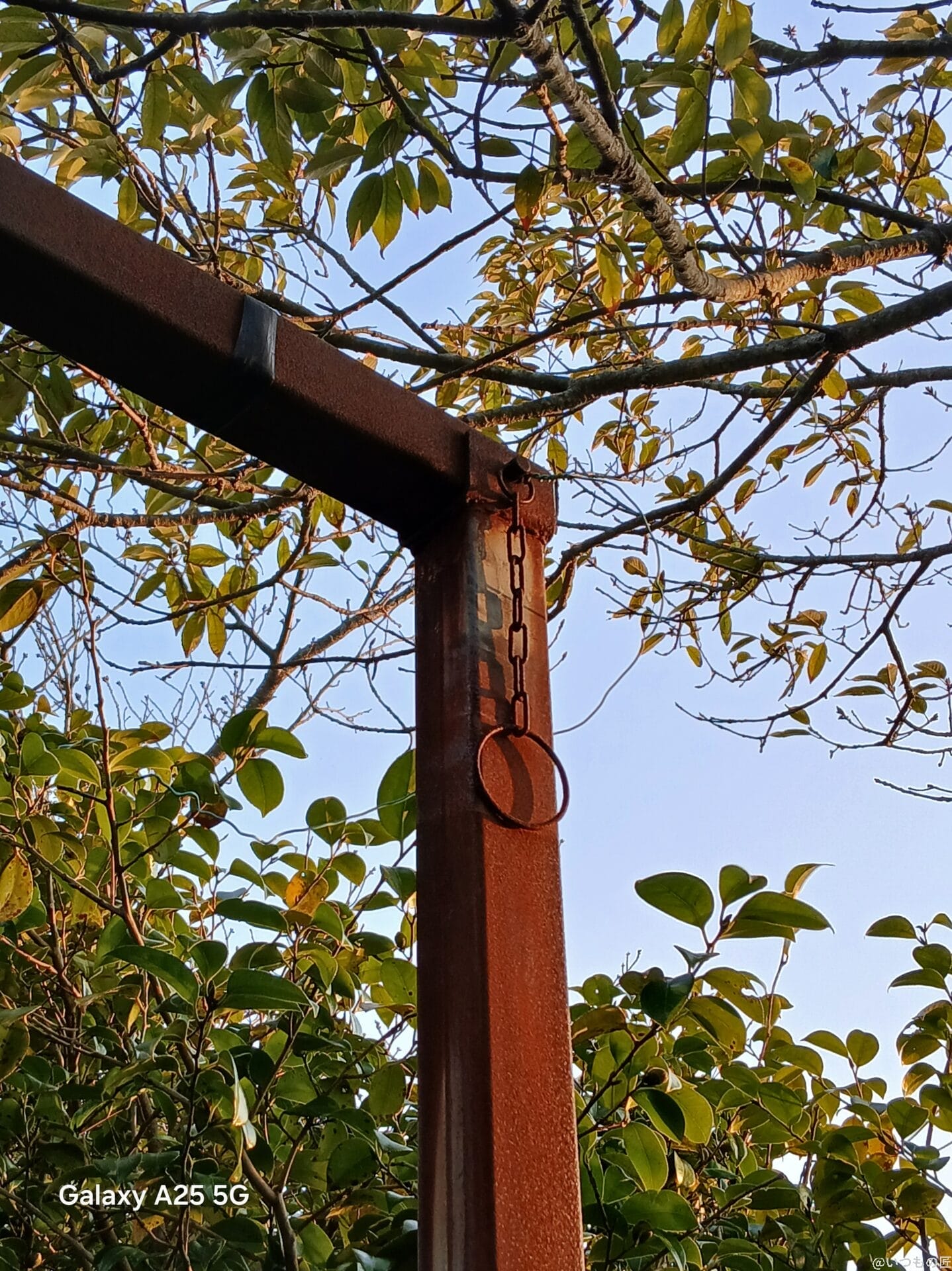 錆びた鉄の鎖を撮影した写真 | モバイル比較レビュー.jp Galaxy A25 5G カメラ 錆びた鉄の鎖を撮影した写真