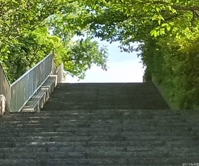 moto g64 5gの風景写真を切り抜き・拡大した写真 | モバイル比較レビュー.jp Galaxy A25 5G カメラ moto g64 5Gの風景写真を切り抜き・拡大した写真