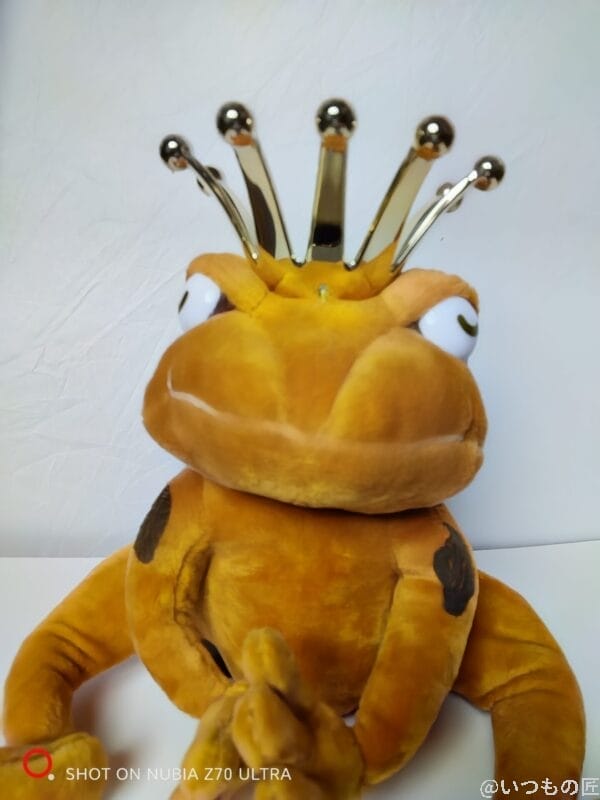 nubia Z70 Ultra カメラ ぬいぐるみを自撮りした屋内写真