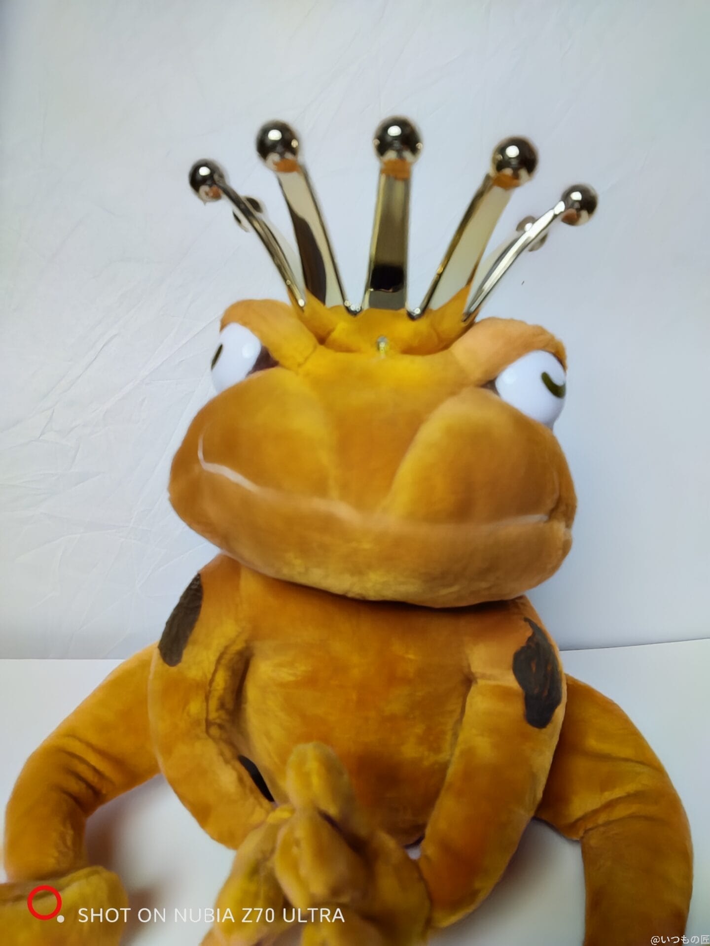 nubia Z70 Ultra カメラ ぬいぐるみを自撮りした屋内写真