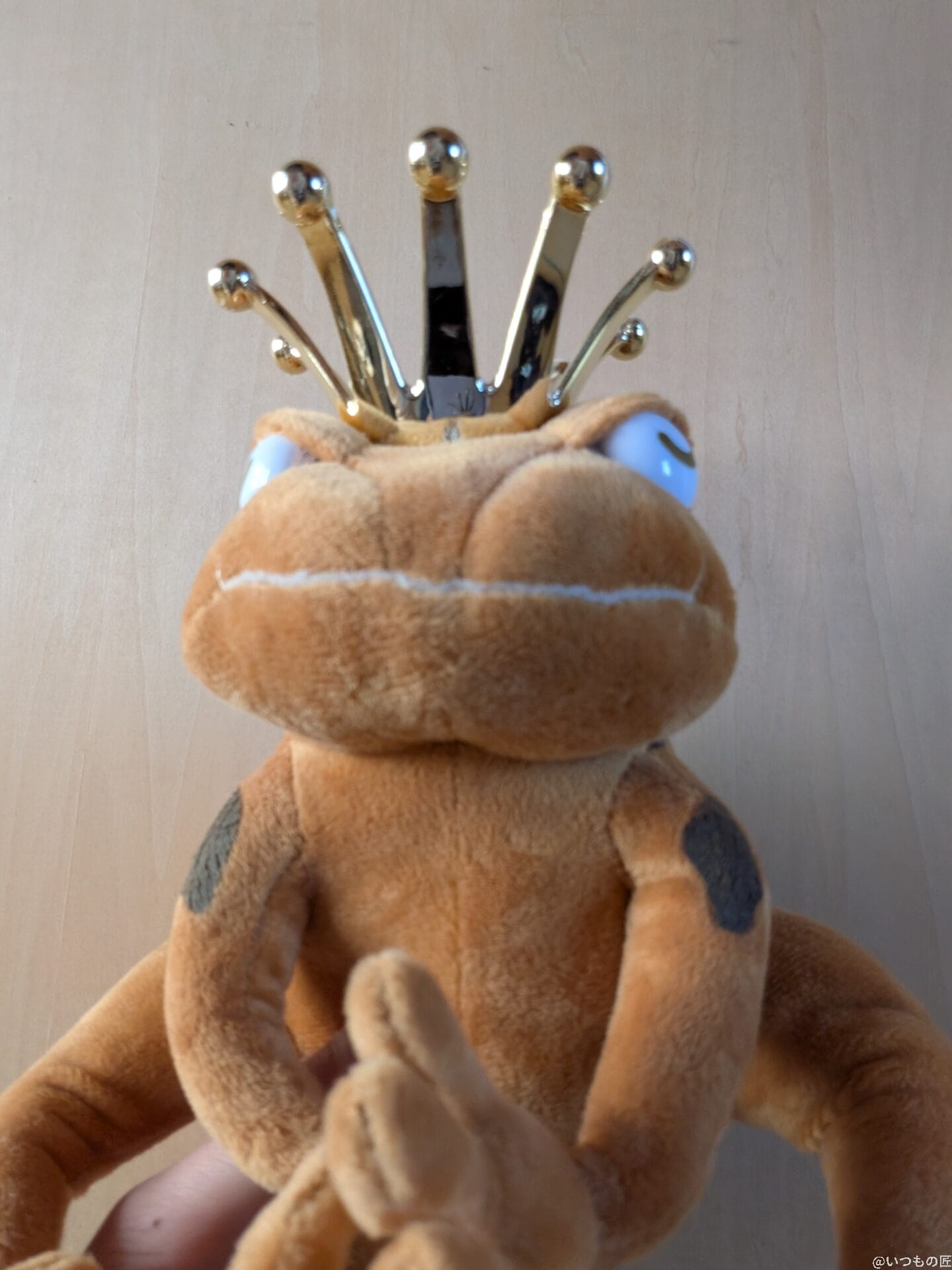 OPPO Reno13 A カメラ かえるのぬいぐるみ