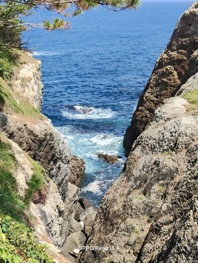 快晴の海を記録した一枚 | モバイル比較レビュー.jp OPPO Reno13 A カメラ 快晴の海を記録した一枚