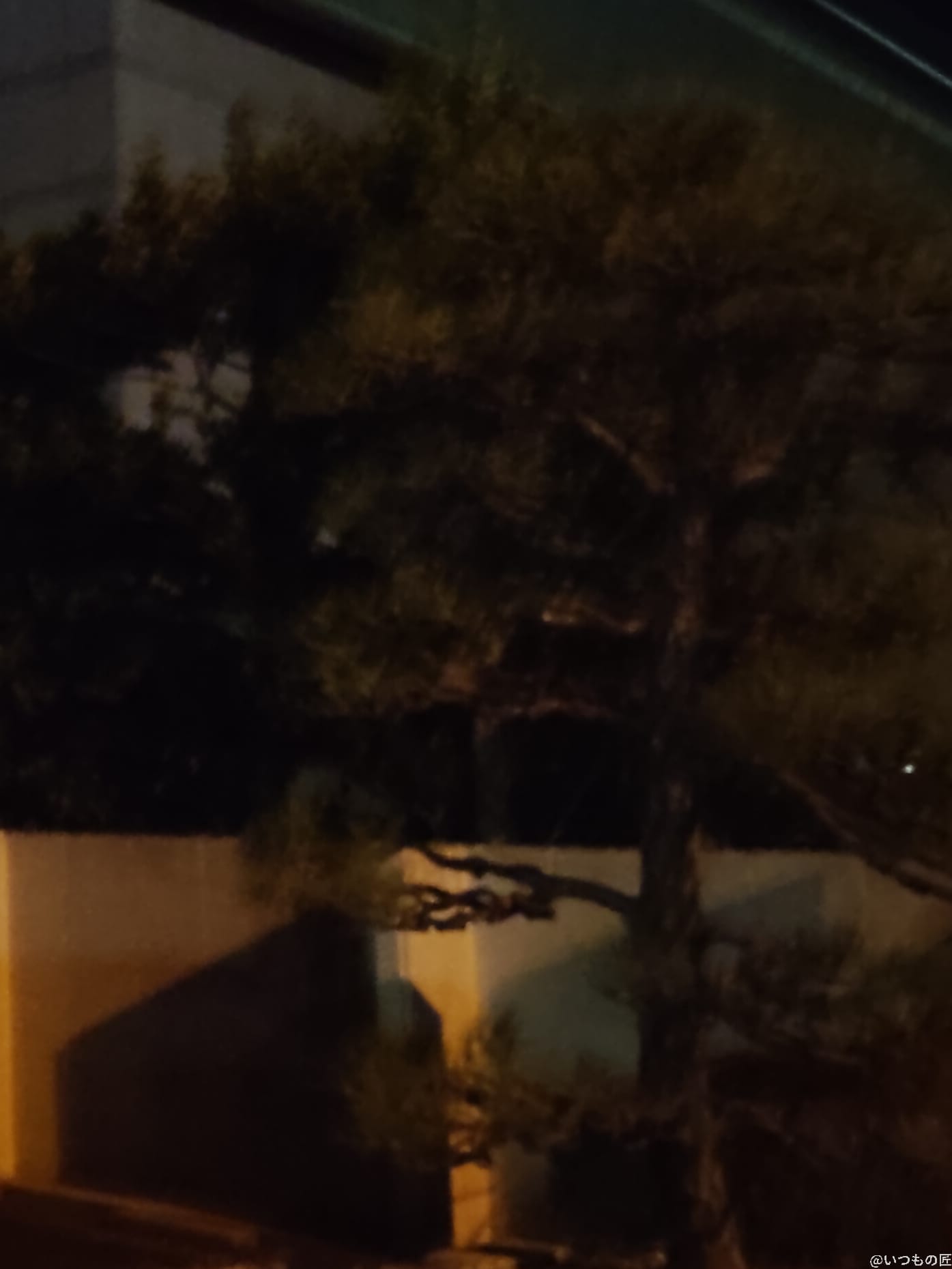 OPPO Reno13 A カメラ 建物を暗所でとらえた一枚