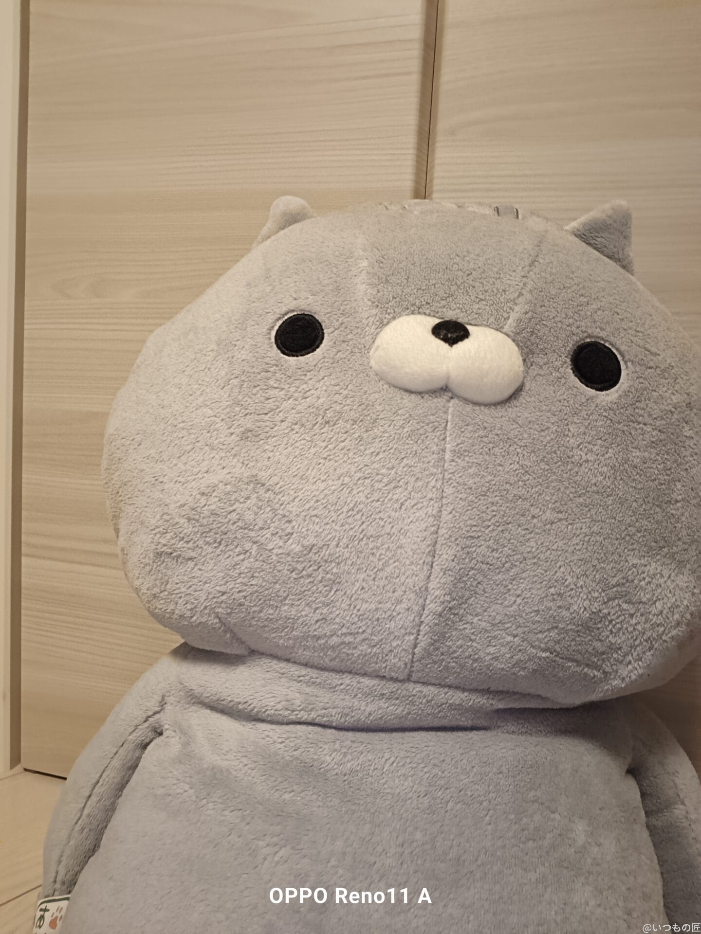 OPPO Reno13 A カメラ 室内のクマのぬいぐるみ