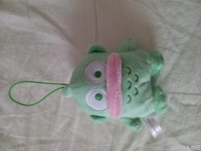 緑色のマスコット人形 | モバイル比較レビュー.jp AQUOS wish5 カメラ 緑色のマスコット人形