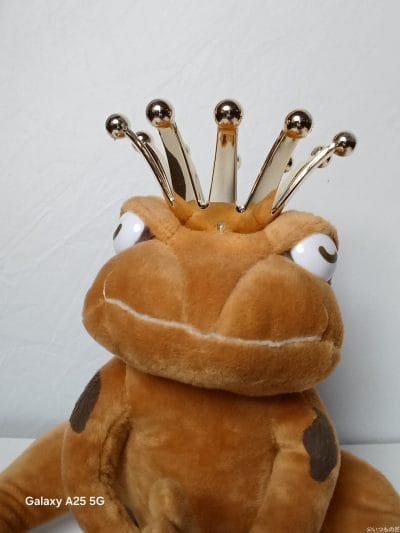 王冠をかぶったぬいぐるみ | モバイル比較レビュー.jp AQUOS wish5 カメラ 王冠をかぶったぬいぐるみ