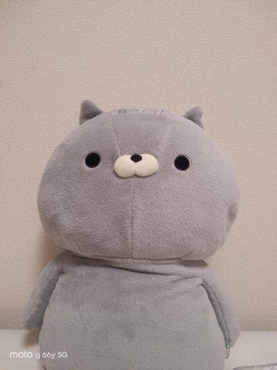屋内で自撮りしたクマのぬいぐるみ | モバイル比較レビュー.jp moto g66y 5G カメラ 屋内で自撮りしたクマのぬいぐるみ
