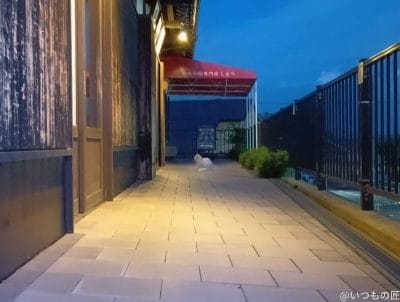 店の前でくつろいだ様子の白猫 | モバイル比較レビュー.jp AQUOS wish5 カメラ 店の前でくつろいだ様子の白猫