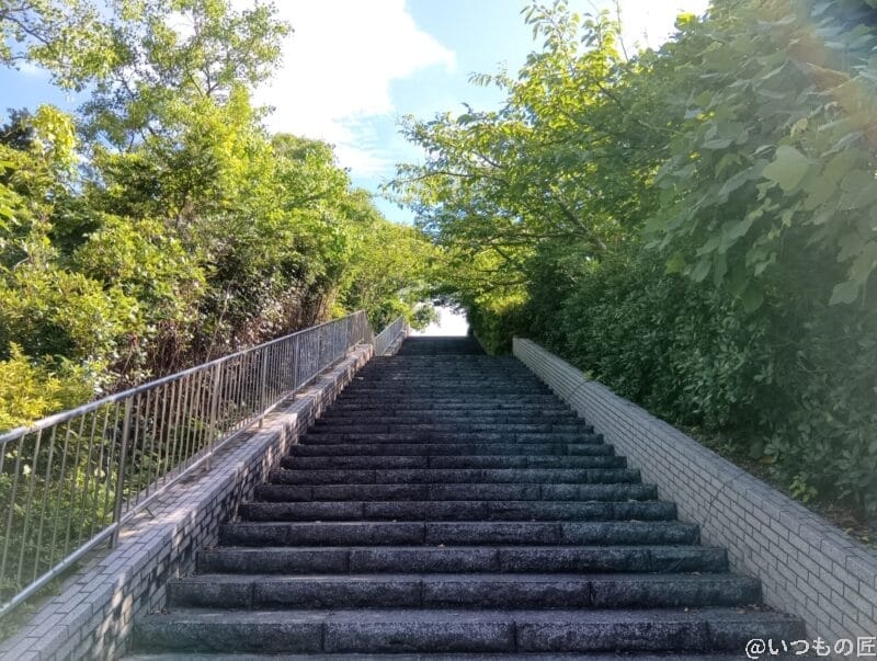 木々に囲まれた階段 | モバイル比較レビュー.jp AQUOS wish5 カメラ 木々に囲まれた階段