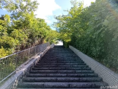 木々に囲まれた階段 | モバイル比較レビュー.jp AQUOS wish5 カメラ 木々に囲まれた階段