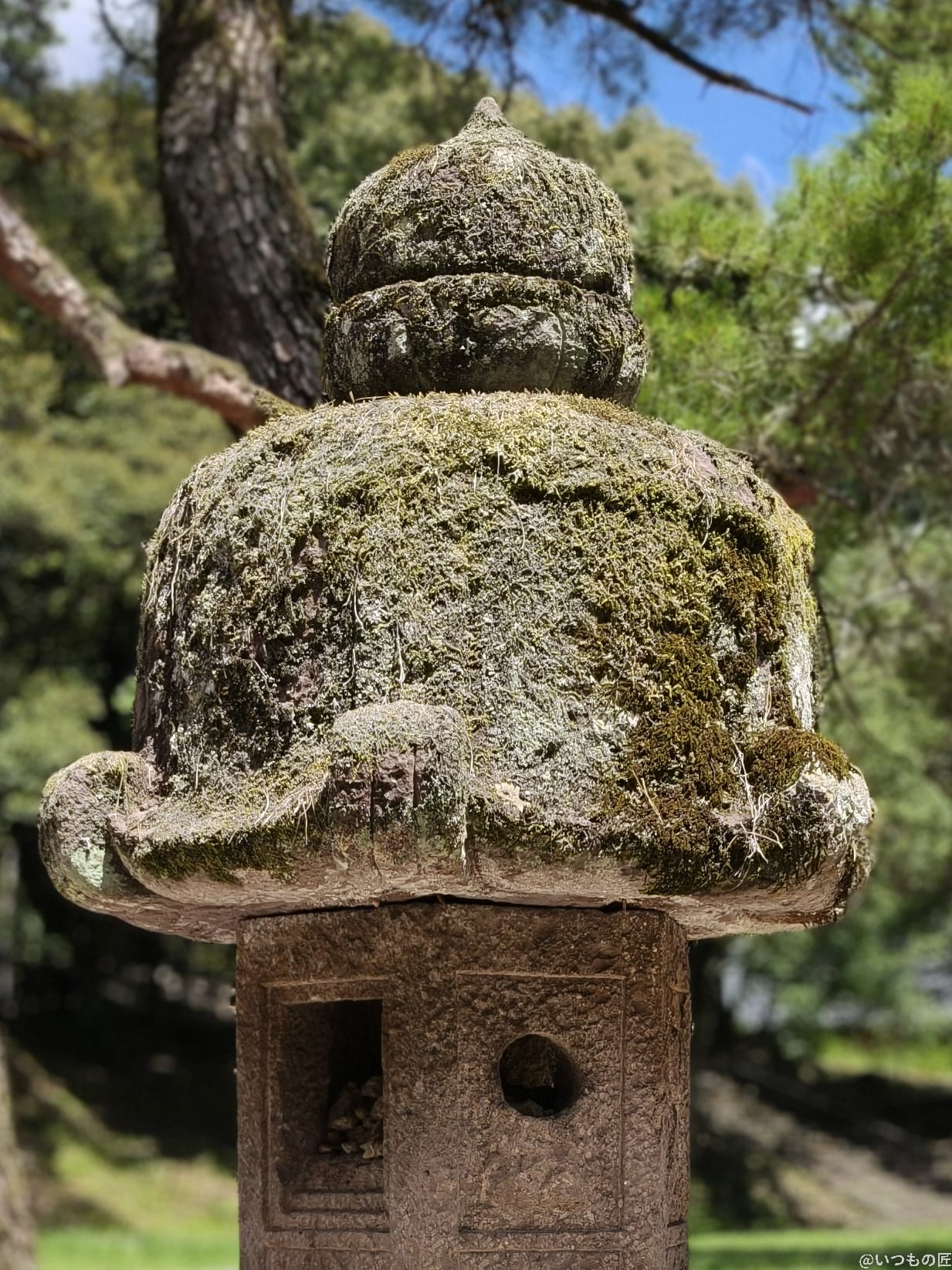 OPPO Reno14 5G カメラ 苔の緑が映える石灯篭