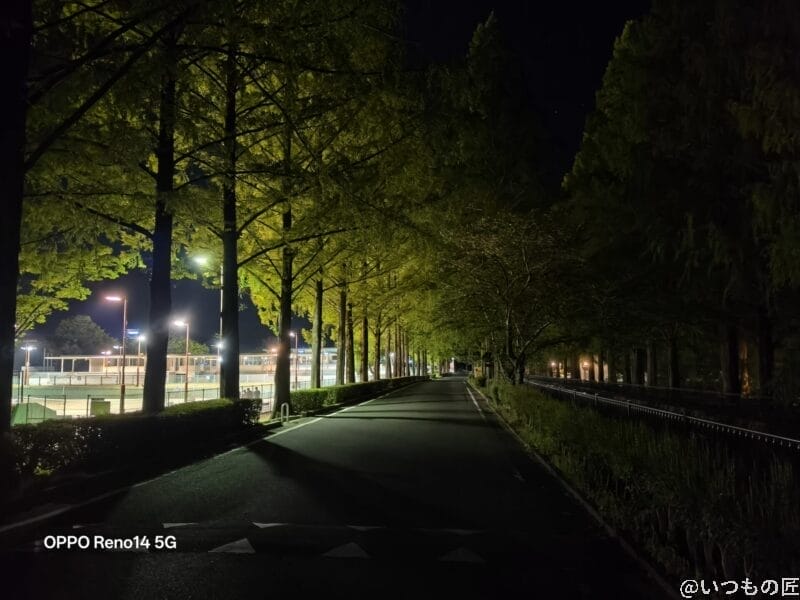 OPPO Reno14 5G カメラ ジョギングコース脇の木々が生い茂った道路