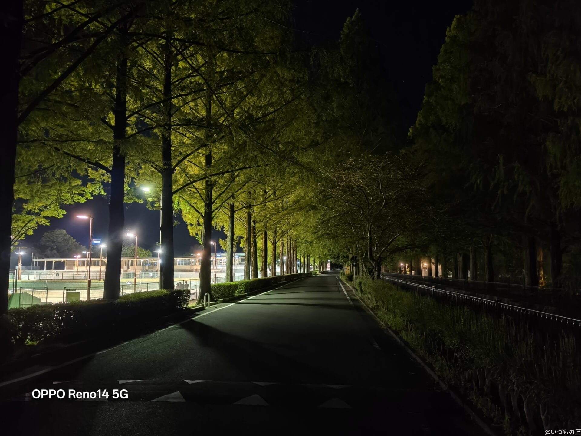 OPPO Reno14 5G カメラ ジョギングコース脇の木々が生い茂った道路