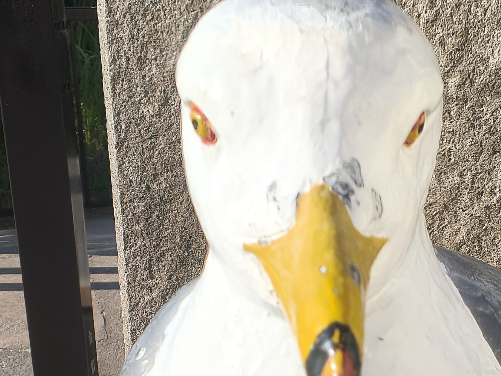 motorola edge 60s pro カメラ 道端に設置された鳥のモニュメント