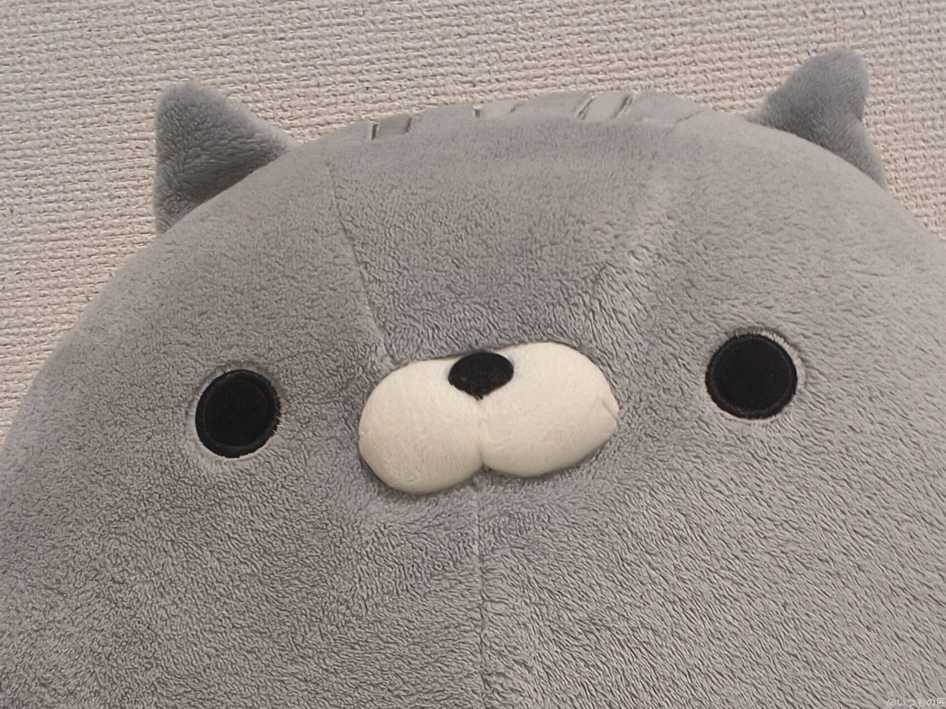 グレーのクマのぬいぐるみ | モバイル比較レビュー.jp motorola edge 60s pro カメラ グレーのクマのぬいぐるみ