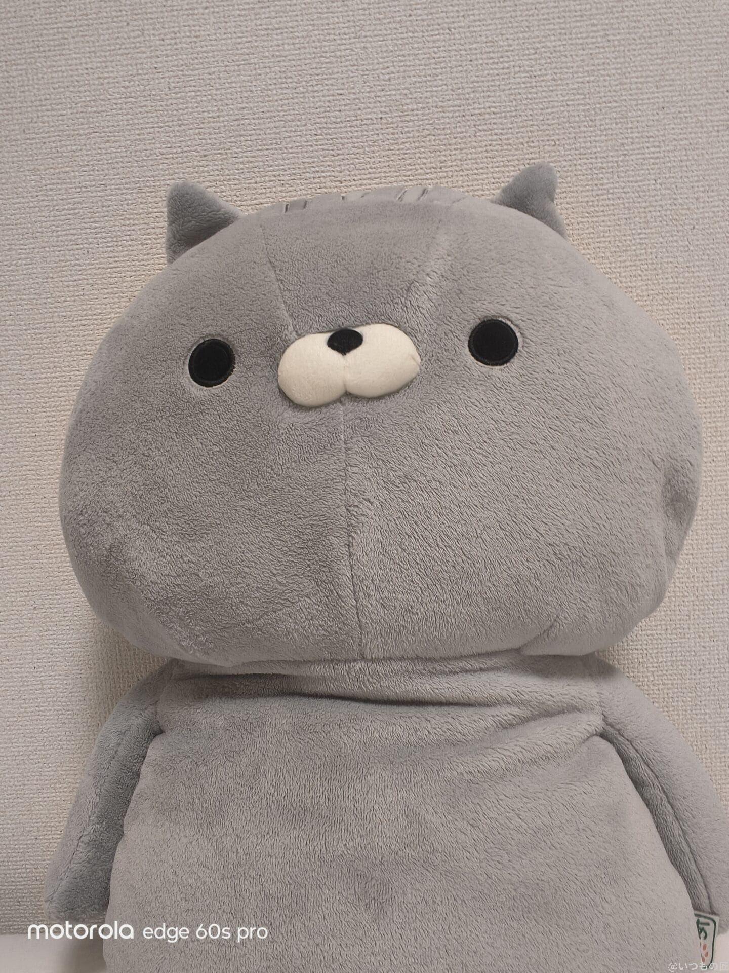 グレーのクマのぬいぐるみ | モバイル比較レビュー.jp motorola edge 60s pro カメラ グレーのクマのぬいぐるみ
