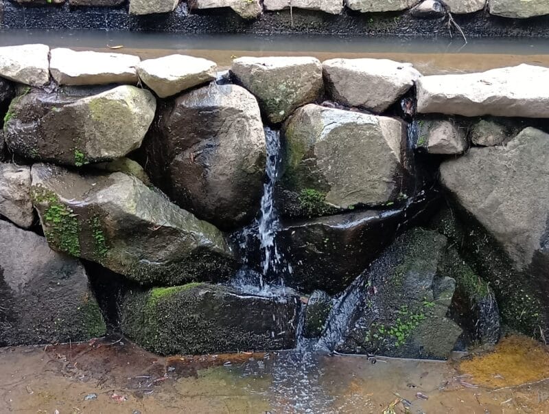 AQUOS wish5 レビュー
AQUOS wish4で撮影した石垣の写真