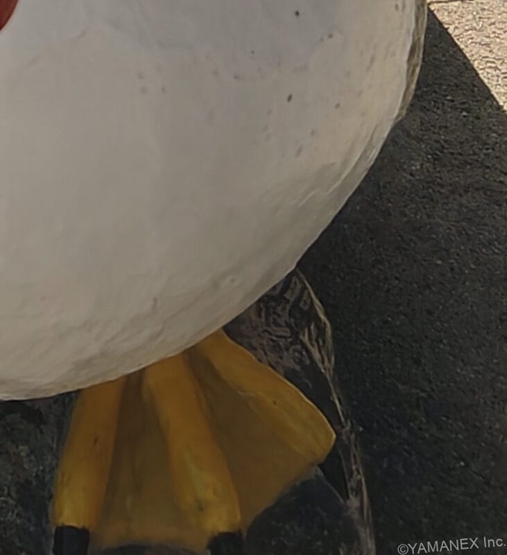 nubia Fold カメラ 鳥の銅像をフロントカメラ撮影した一枚