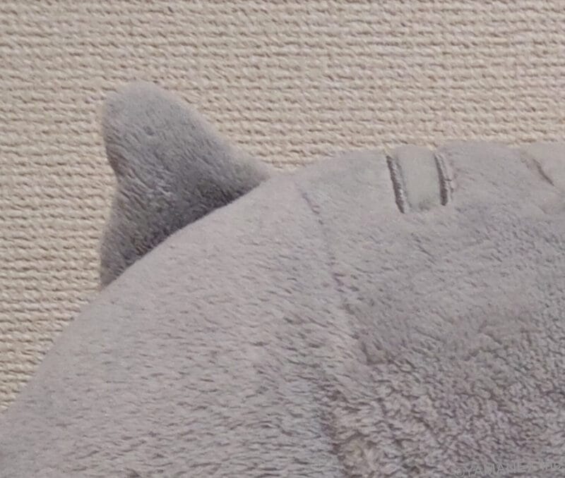 nubia Fold カメラ クマのぬいぐるみの自撮りショット