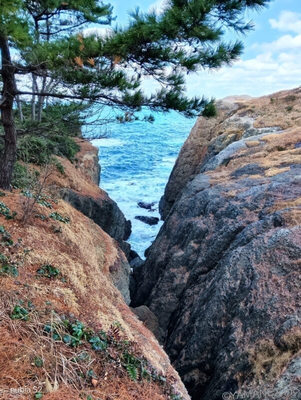 nubia S2 カメラ 岸壁から見える海の様子