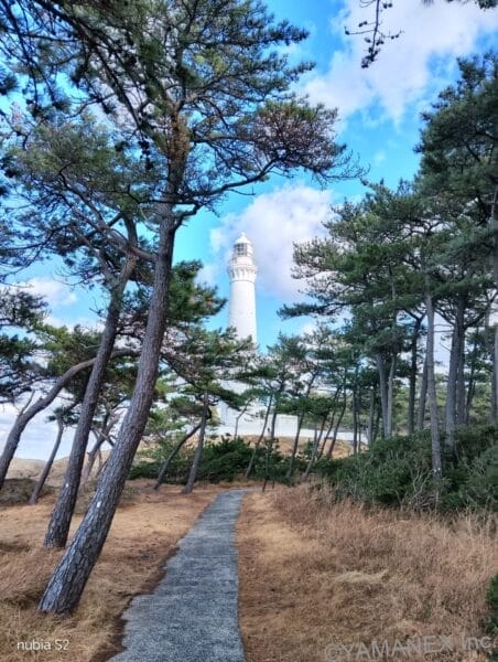 nubia S2 カメラ 白い灯台