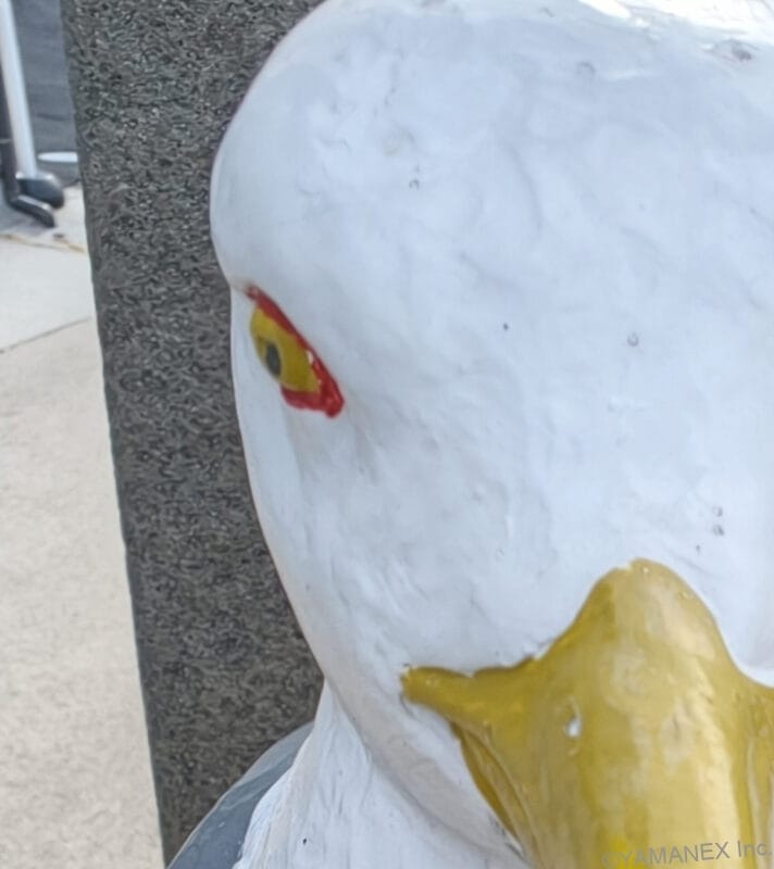 鳥の銅像をフロントカメラで撮影 | モバイル比較レビュー.jp OPPO Find X9 カメラ 鳥の銅像をフロントカメラで撮影