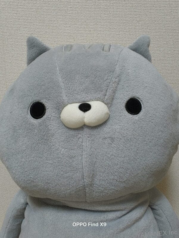 クマのぬいぐるみを室内でフロントカメラ撮影した一枚 | モバイル比較レビュー.jp OPPO Find X9 カメラ クマのぬいぐるみを室内でフロントカメラ撮影した一枚
